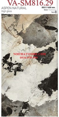 Gạch ốp lát Ấn Độ 80x160 VA-SM816.29