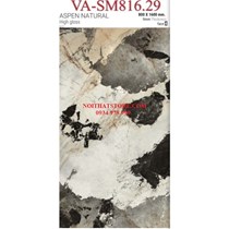 Gạch ốp lát Ấn Độ 80x160 VA-SM816.29