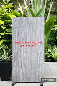 Gạch ốp lát Ấn Độ 80x160 xám vân sọc