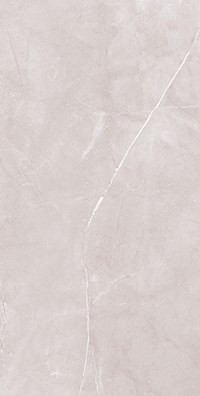 Gạch ốp lát Apodio 60x120 61181024