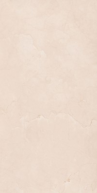 Gạch ốp lát Apodio 60x120 61181025