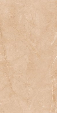 Gạch ốp lát Apodio 60x120 61183024