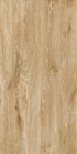 Gạch ốp lát Apodio 60x120 61332204
