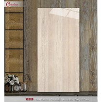 Gạch ốp lát Catalan 60x120 12028 bóng