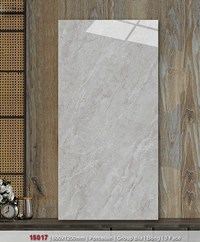 Gạch ốp lát Catalan 60x120 bóng 15017