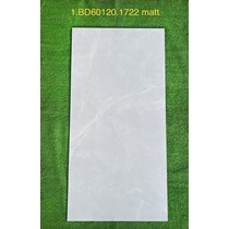 Gạch ốp lát Tasa 60x120 BD 1722 mờ