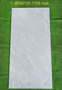 Gạch ốp lát Tasa 60x120 BD 1723 mờ