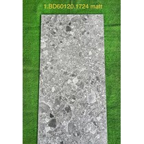 Gạch ốp lát Tasa 60x120 BD 1724 mờ