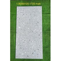 Gạch ốp lát Tasa 60x120 BD 1725 mờ