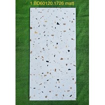 Gạch ốp lát Tasa 60x120 BD 1726 mờ