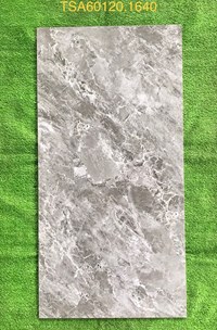 Gạch ốp lát Tasa 60x120 bóng TSA 1640