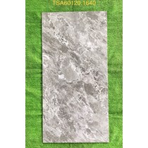 Gạch ốp lát Tasa 60x120 bóng TSA 1640