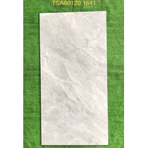 Gạch ốp lát Tasa 60x120 bóng TSA 1641