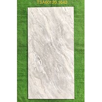 Gạch ốp lát Tasa 60x120 bóng TSA 1642