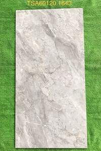 Gạch ốp lát Tasa 60x120 bóng TSA 1643
