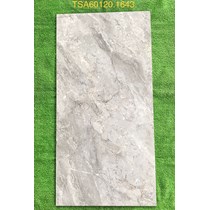 Gạch ốp lát Tasa 60x120 bóng TSA 1643