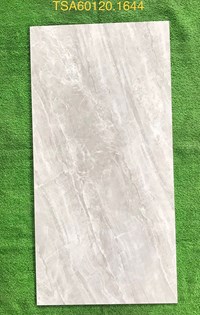 Gạch ốp lát Tasa 60x120 bóng TSA 1644
