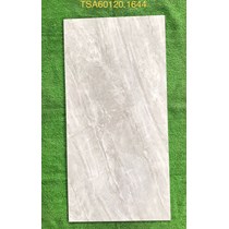 Gạch ốp lát Tasa 60x120 bóng TSA 1644