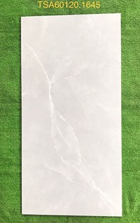 Gạch ốp lát Tasa 60x120 bóng TSA 1645