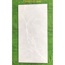Gạch ốp lát Tasa 60x120 bóng TSA 1645