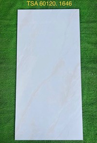 Gạch ốp lát Tasa 60x120 bóng TSA 1646
