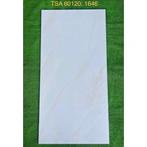 Gạch ốp lát Tasa 60x120 bóng TSA 1646