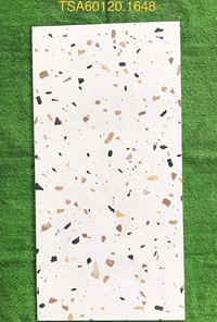 Gạch ốp lát Tasa 60x120 bóng TSA 1648