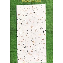 Gạch ốp lát Tasa 60x120 bóng TSA 1648
