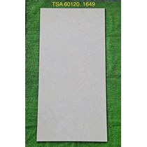 Gạch ốp lát Tasa 60x120 bóng TSA 1649