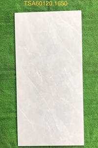 Gạch ốp lát Tasa 60x120 bóng TSA 1650