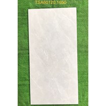 Gạch ốp lát Tasa 60x120 bóng TSA 1650