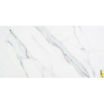 Gạch ốp lát Trung Quốc 60x120 X12FRT03