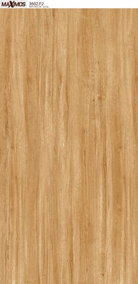 Gạch ốp lát Vitto 60x120 3602