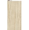 Gạch ốp lát Vitto 60x120 3634
