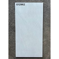 Gạch ốp lát Taicera 60x120 mờ G12962