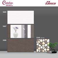 Gạch ốp tường 300x600 Catalan 3685