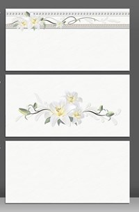 Gạch ốp tường 300x600 Catalan 3905