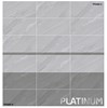 Gạch ốp tường 300x600 Viglacera bán sứ PH3652-3653