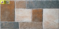 Gạch ốp tường 30x60 JR36019