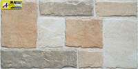 Gạch ốp tường 30x60 JR36020