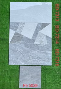 Gạch ốp tường 30x60 Tasa bóng BD7313-7314-7315