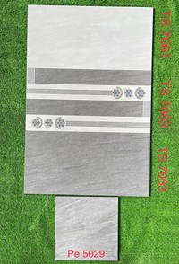 Gạch ốp tường 30x60 Tasa mờ TS7061-7062-7063