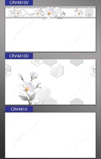 Gạch ốp tường 40x80 giá rẻ Phương Nam CRV4810