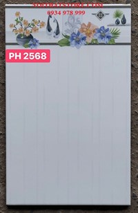 Gạch ốp tường giá rẻ 25x40 PH2568