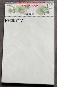Gạch ốp tường giá rẻ 25x40 PH2571