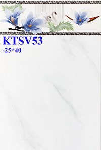 Gạch ốp tường giá rẻ 25x40 Prime KTSV53