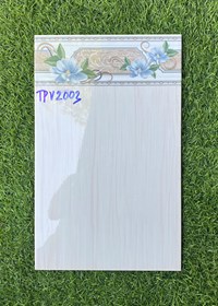 Gạch ốp tường giá rẻ 25x40 TPV2003