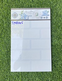Gạch ốp tường giá rẻ 25x40 TPV2005