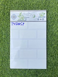 Gạch ốp tường giá rẻ 25x40 TPV2005P