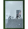 Gạch ốp tường giá rẻ 300x600 RT3611